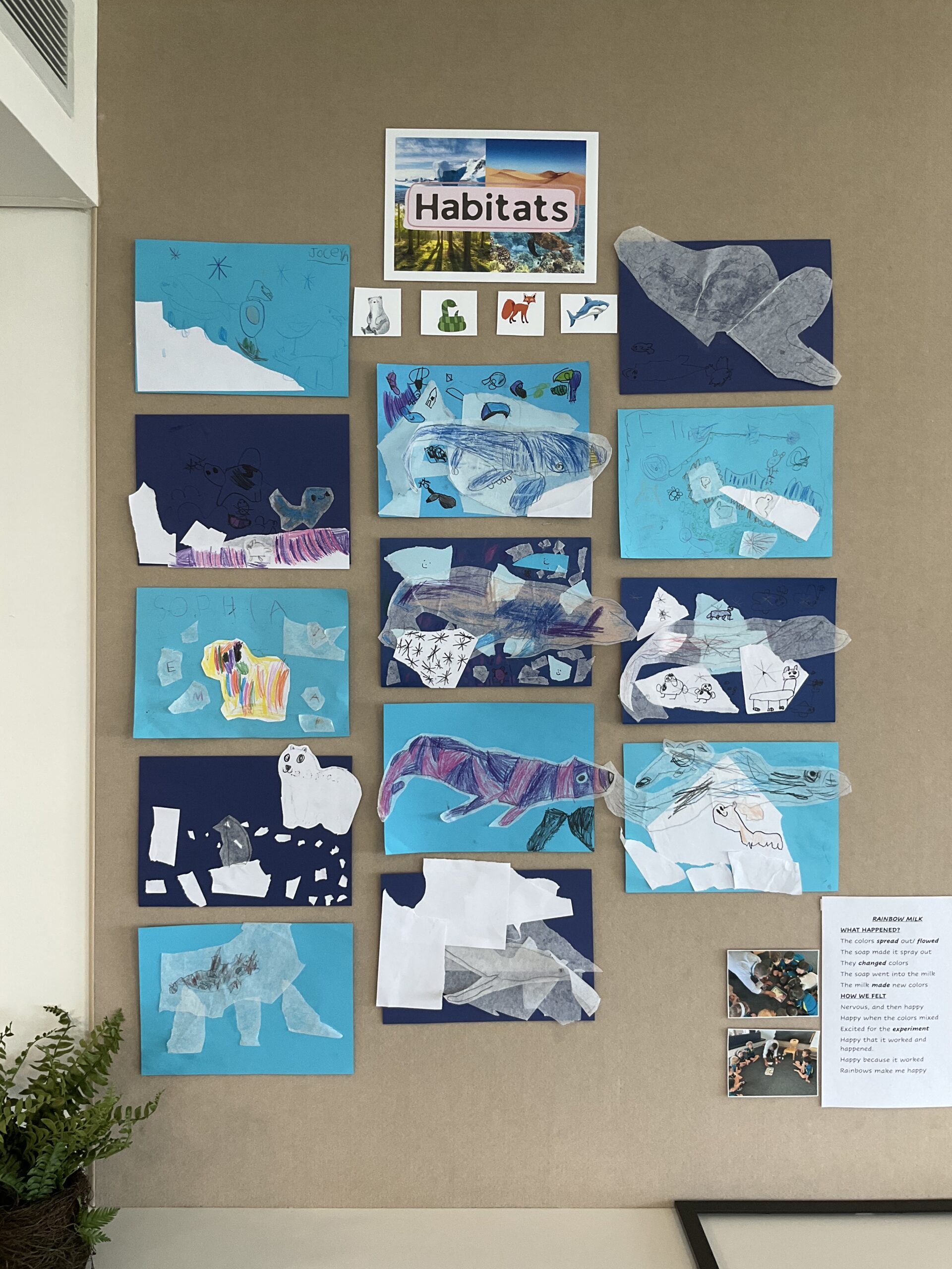 Exploring the Magic of Polar Habitats and Animals Through Collage