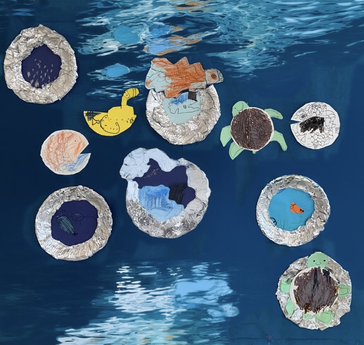 Exploring the Magic of the Oceans on a Submarine Safari