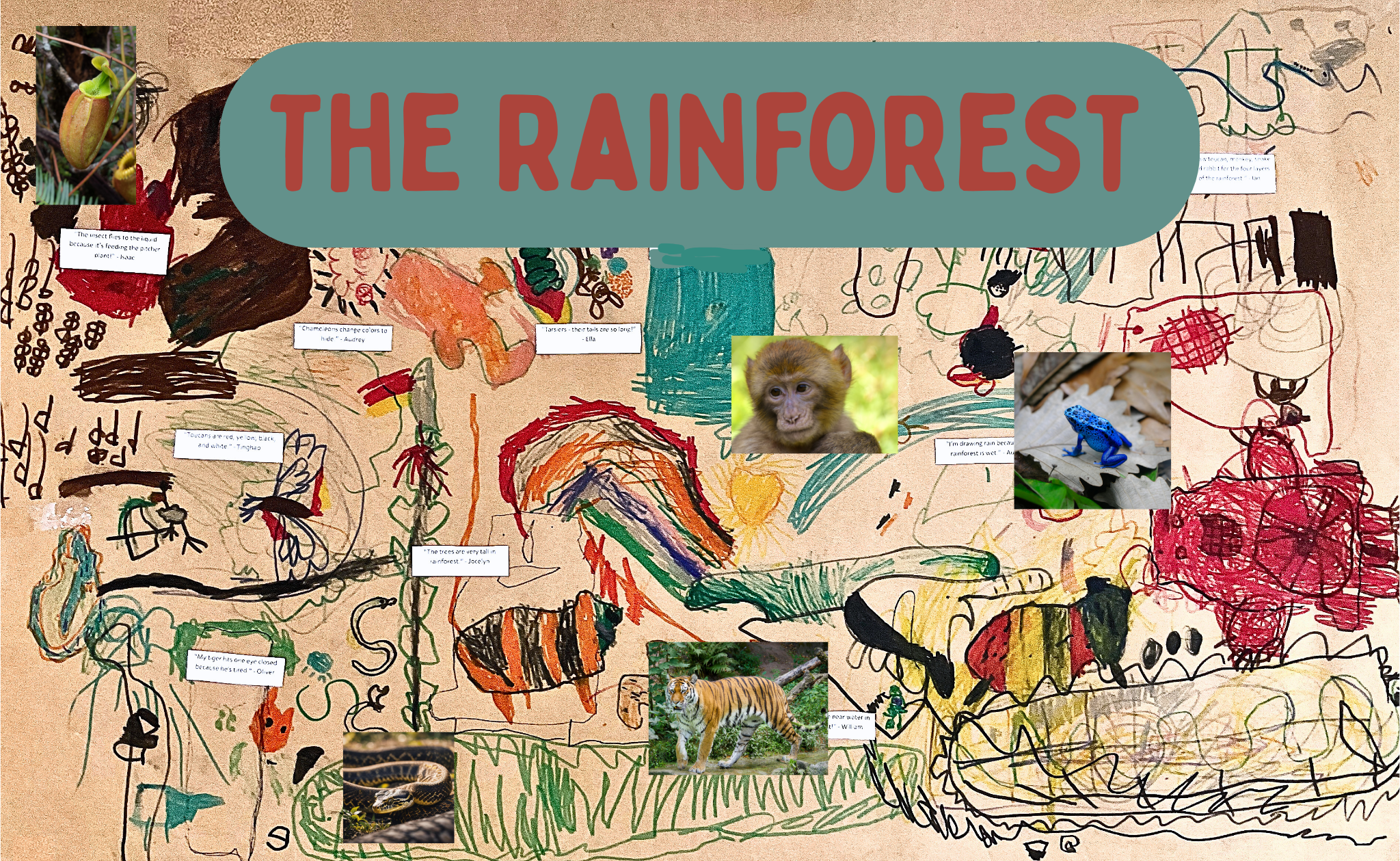 Exploring the Magic of the Rainforest: A Kindergarten Art Adventure!